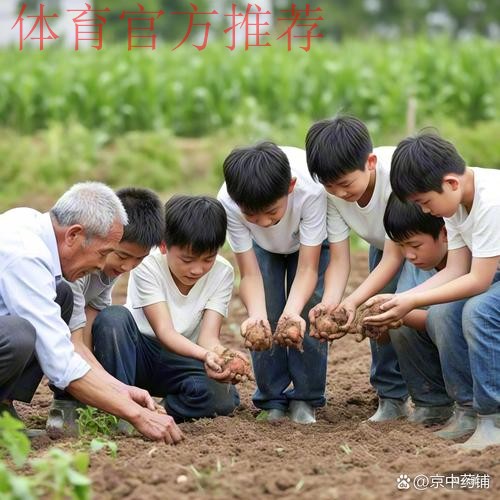 离收成很远的幼儿足球 仍在耕种 离收成很远的幼儿足球 仍在耕种